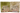 Cheech and Chong King Size Rolling Papers 50ct 25pk