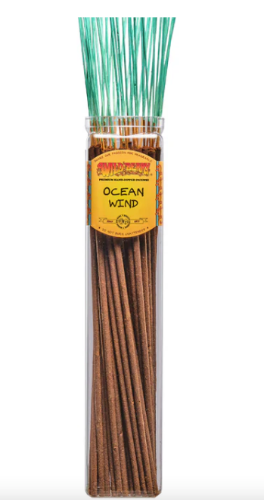 Wild Berry Biggies Incense Sticks 50ct - Ocean Wind